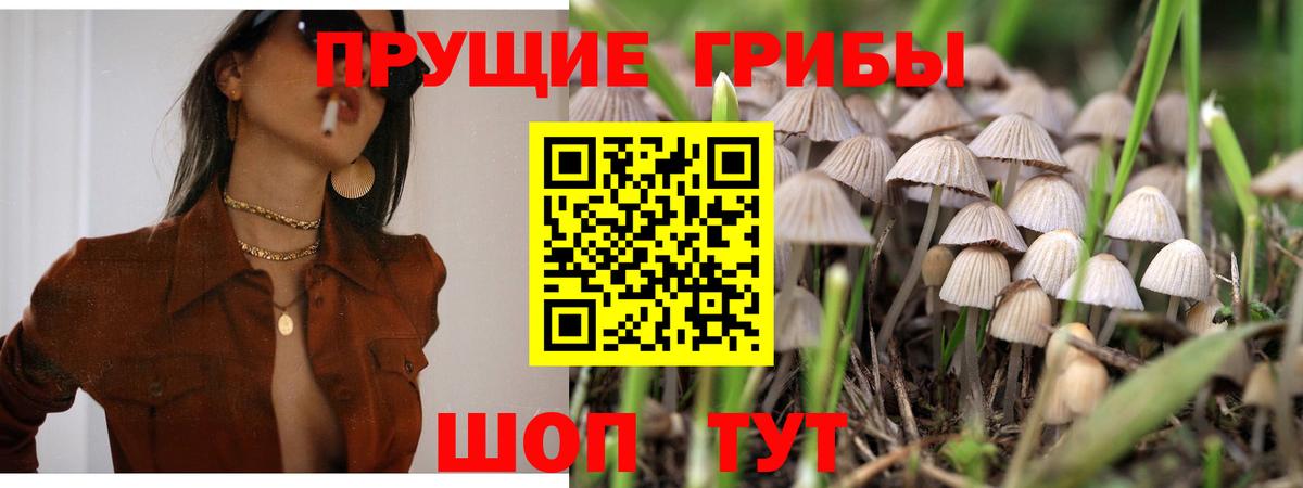 МЕФ Саратов